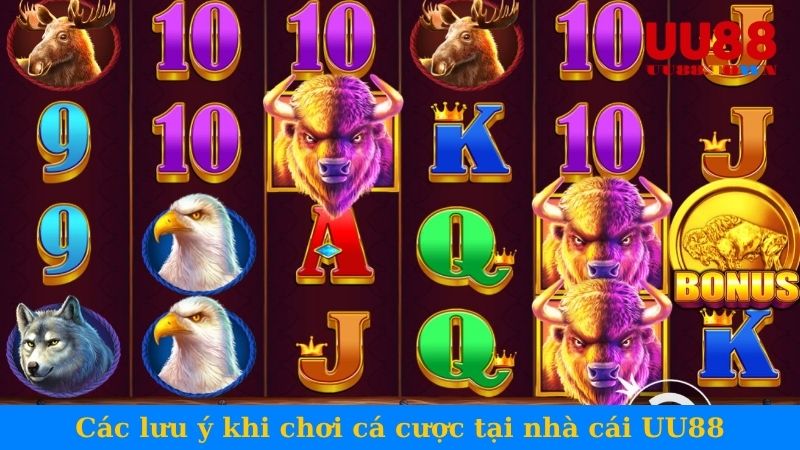 Các lưu ý khi chơi cá cược tại nhà cái UU88