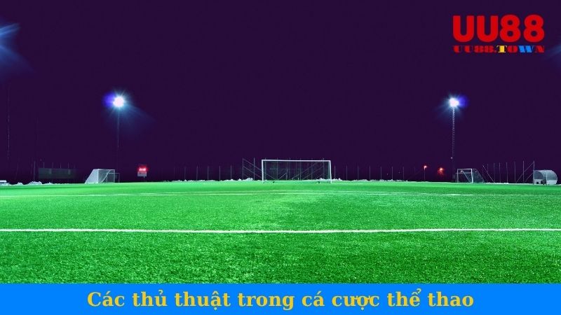 Các thủ thuật trong cá cược thể thao