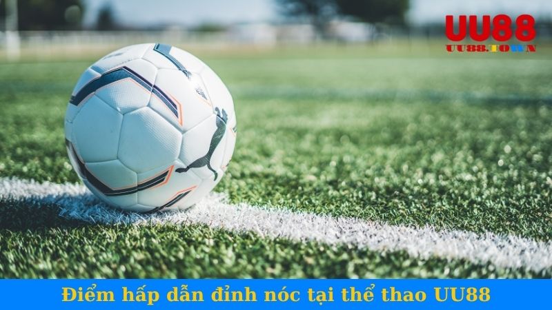 Điểm hấp dẫn đỉnh nóc tại thể thao UU88