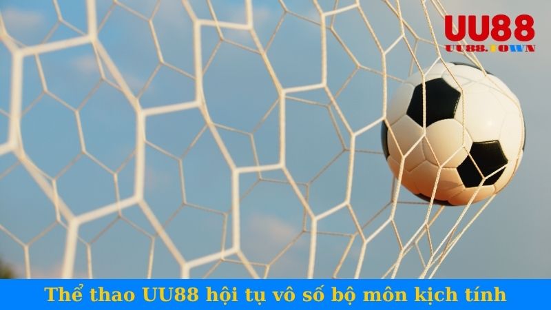 Sảnh cược thể thao UU88 hội tụ vô số bộ môn kịch tính