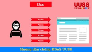 hướng dẫn chống ddos