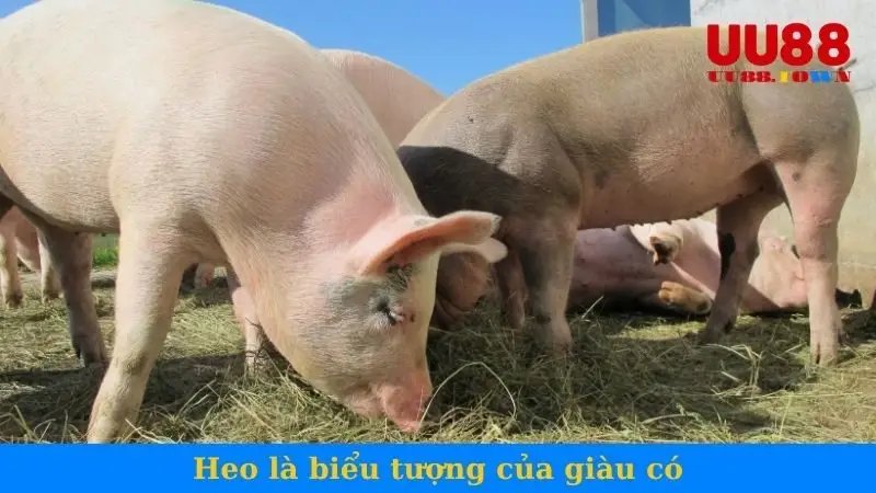 Nằm mơ thấy heo là biểu tượng của sự giàu có, no đủ